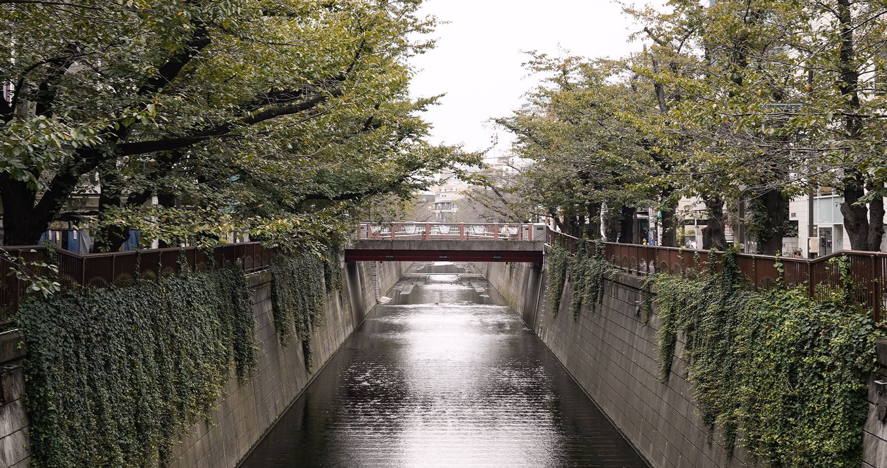 The Quiet Soul of Meguro